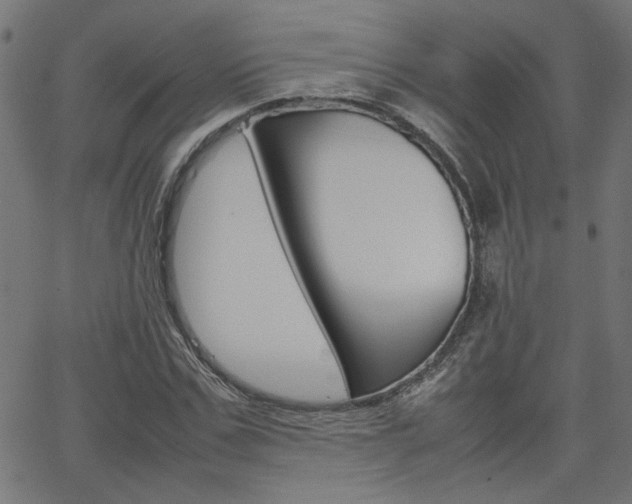 X0000066100971200603100934