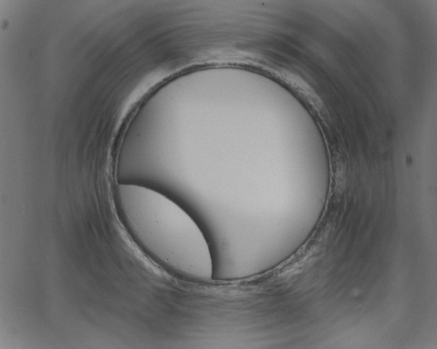 X0000066100990200603100934