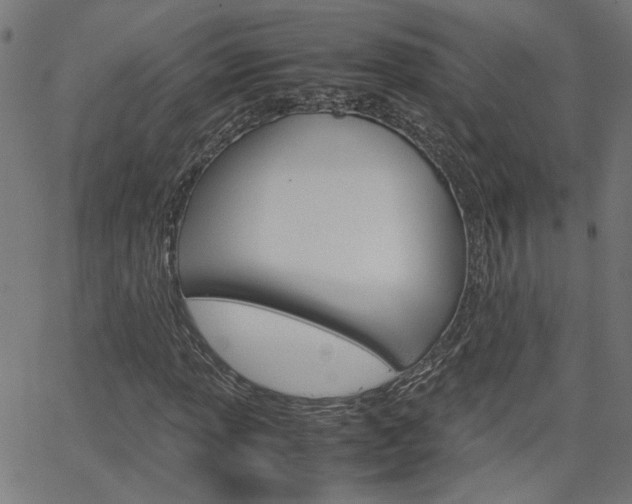 X0000066101013200603100933