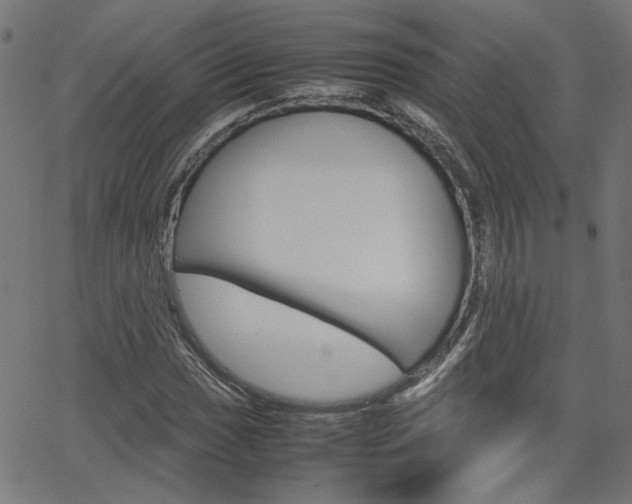 X0000066101017200603100933