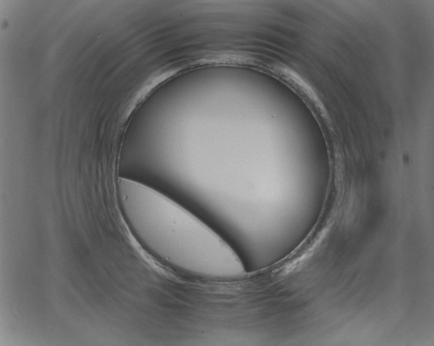 X0000066101041200603100933