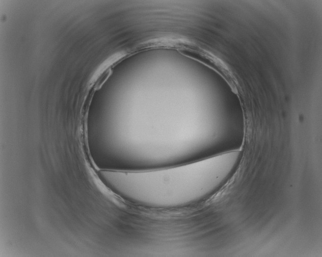 X0000066101042200603100933