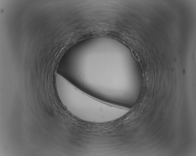 X0000066101057200603100933