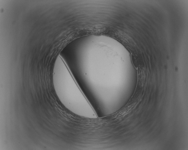 X0000066101058200603100933