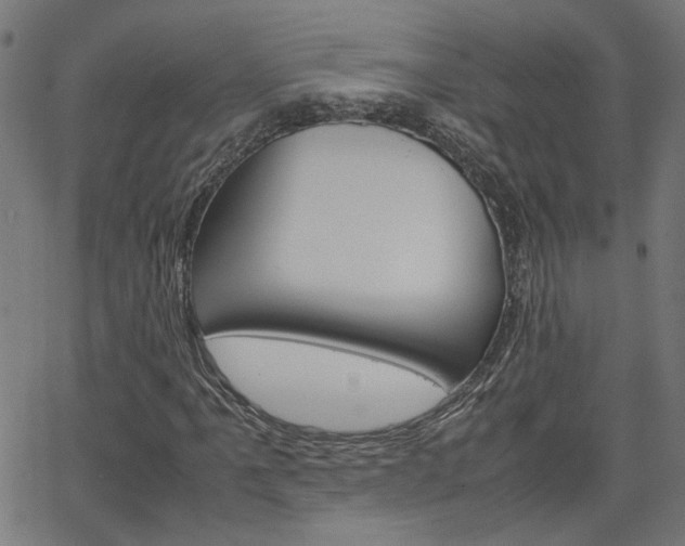 X0000066101061200603100933