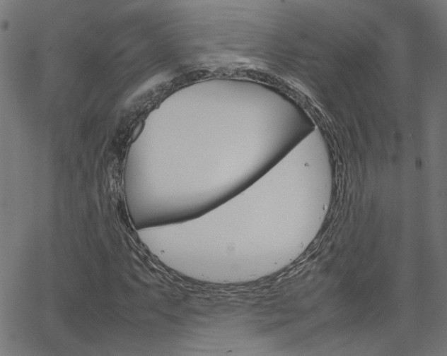 X0000066101063200603100933