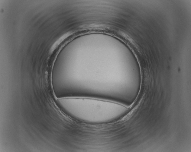 X0000066101066200603100933