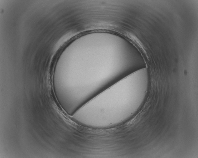 X0000066101072200603100933
