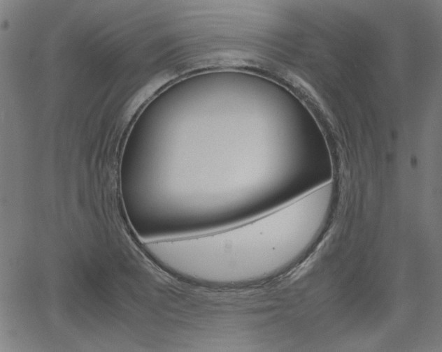 X0000066101081200603100932
