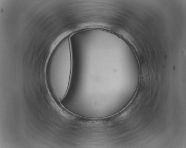 X0000066101082200603100932