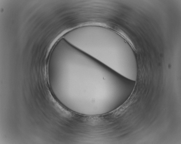 X0000066101092200603100932