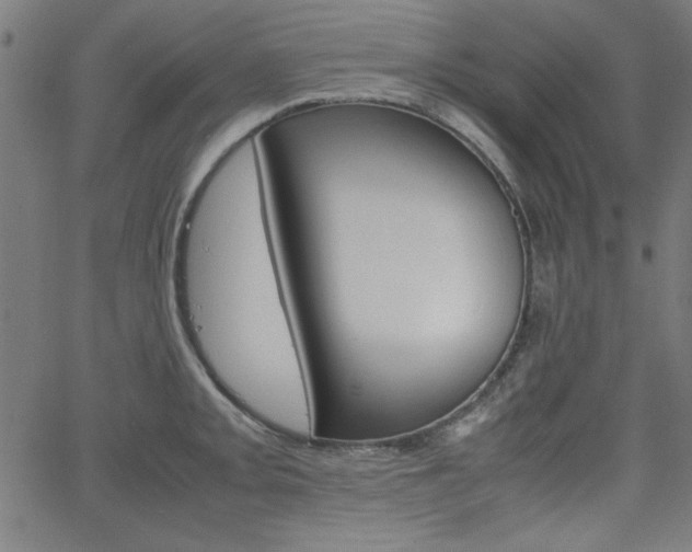 X0000066101093200603100932