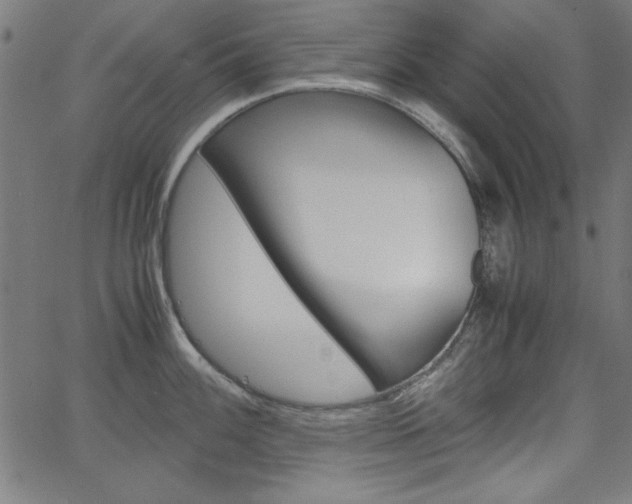 X0000066101100200603100932