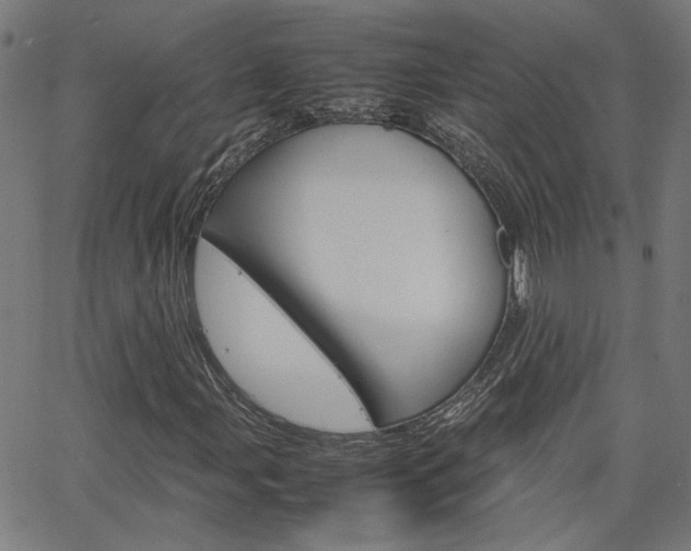 X0000066101107200603100931