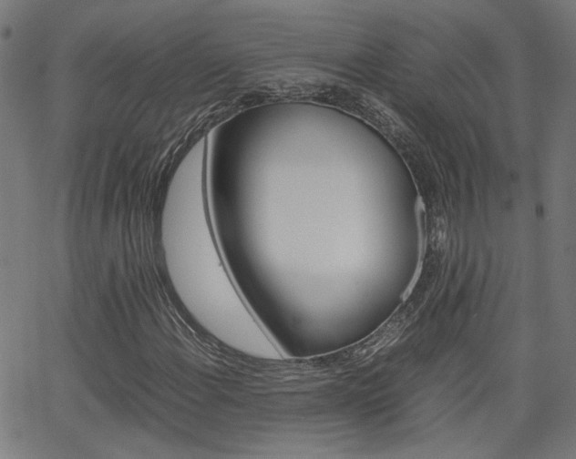 X0000066101108200603100931