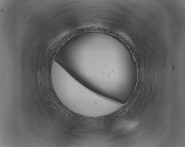 X0000066101111200603100931
