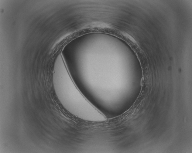 X0000066101112200603100931