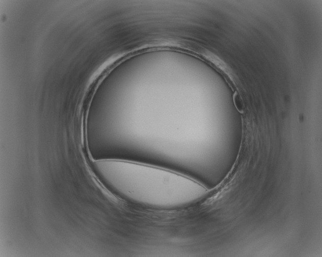 X0000066101127200603100932