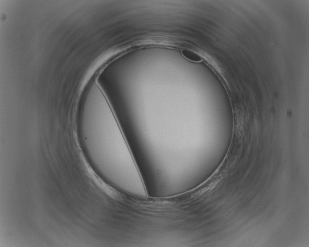 X0000066101131200603100932