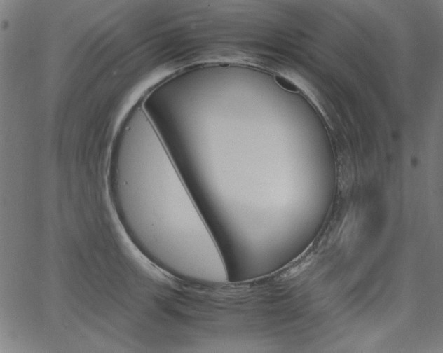 X0000066101139200603100932