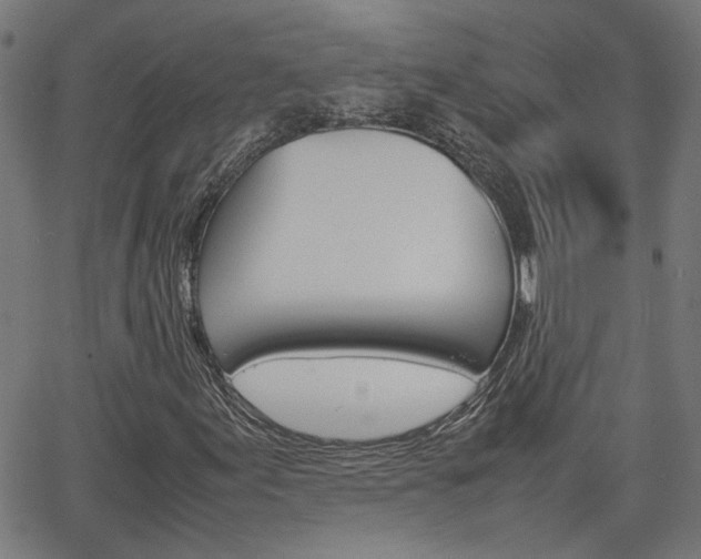 X0000066101155200603100931