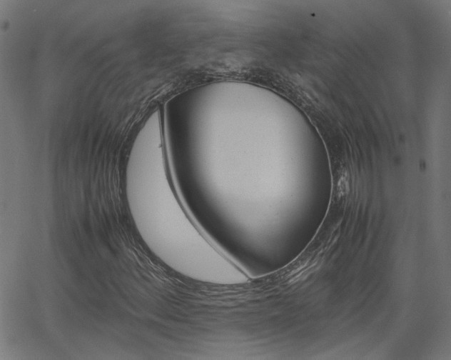 X0000066101156200603100931