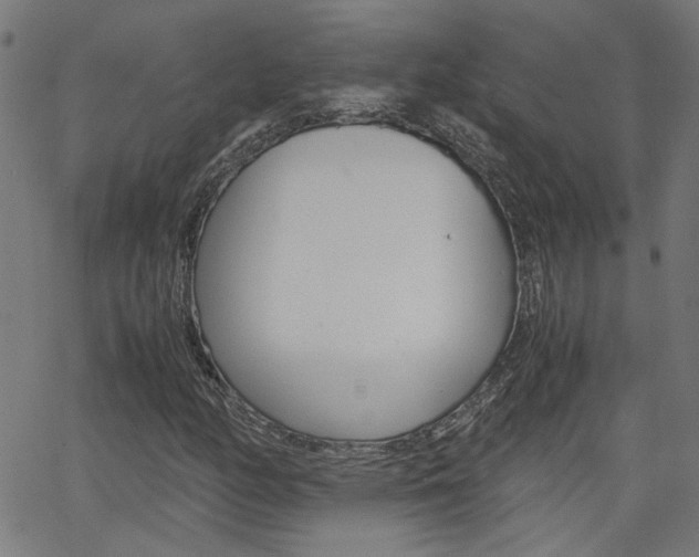 X0000066101158200603100931