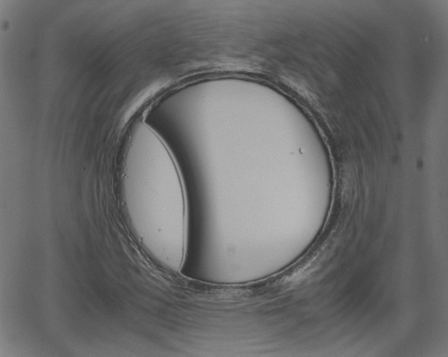 X0000066101163200603100931