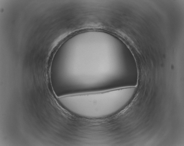 X0000066101168200603100931
