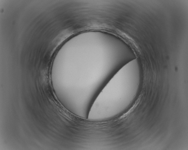 X0000066101170200603100931