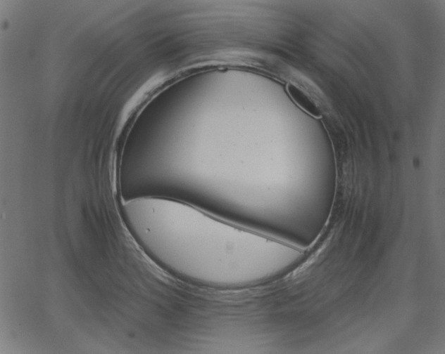 X0000066101180200603100931