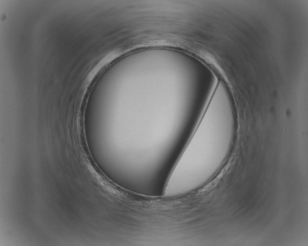 X0000066101181200603100931