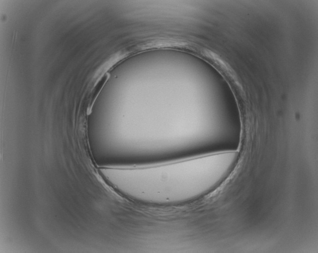 X0000066101185200603100931