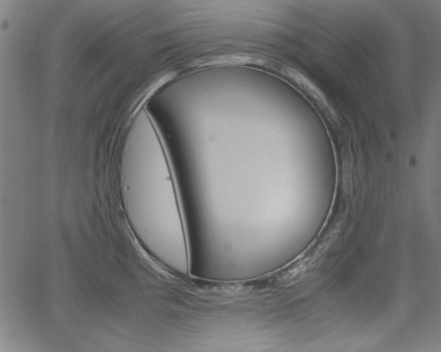X0000066101193200603100931
