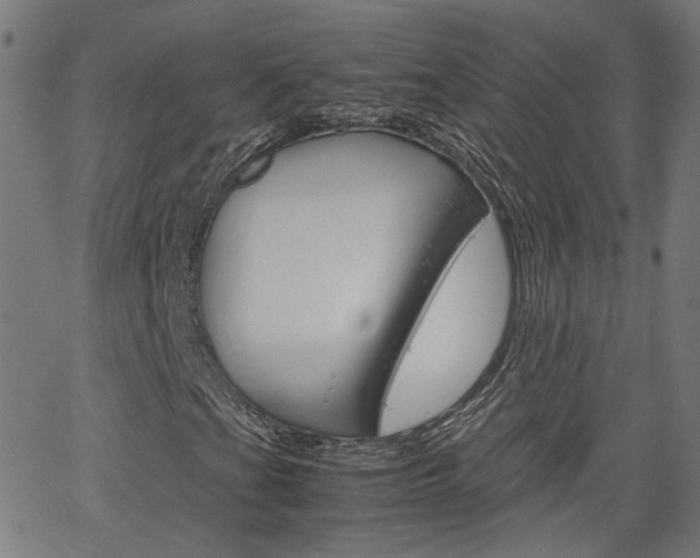 X0000066101201200603100930