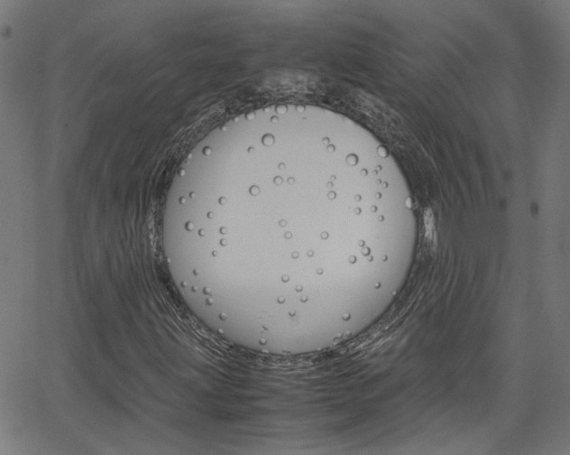 X0000066101203200603100930
