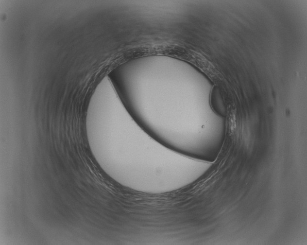 X0000066101204200603100930