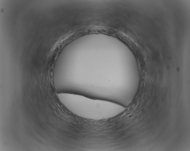 X0000066101207200603100930