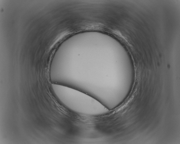 X0000066101211200603100930