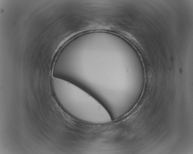 X0000066101220200603100930