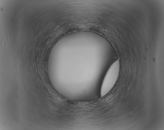 X0000066101249200603100930