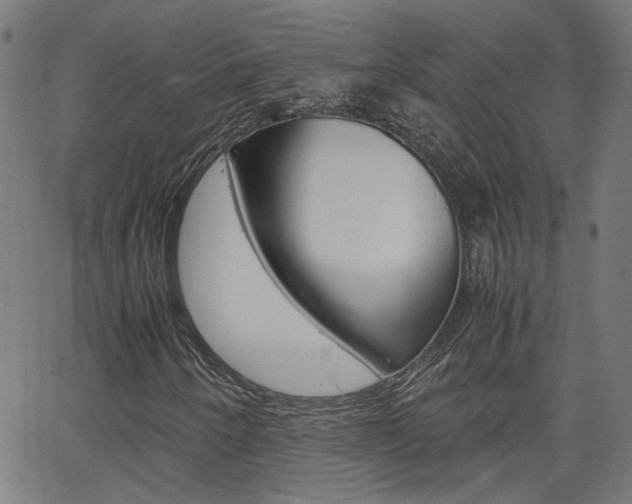 X0000066101250200603100930