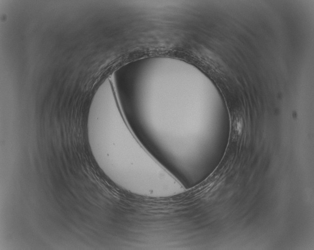 X0000066101252200603100930
