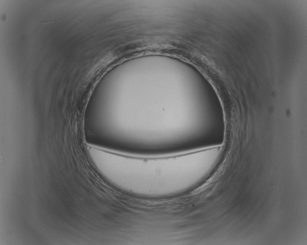 X0000066101257200603100930
