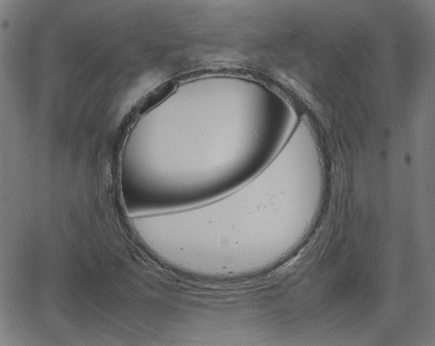 X0000066101261200603100929