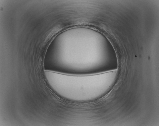 X0000066101265200603100929