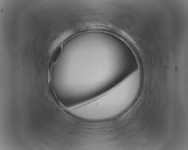 X0000066101269200603100929