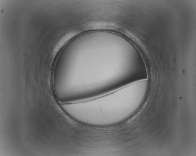 X0000066101277200603100929
