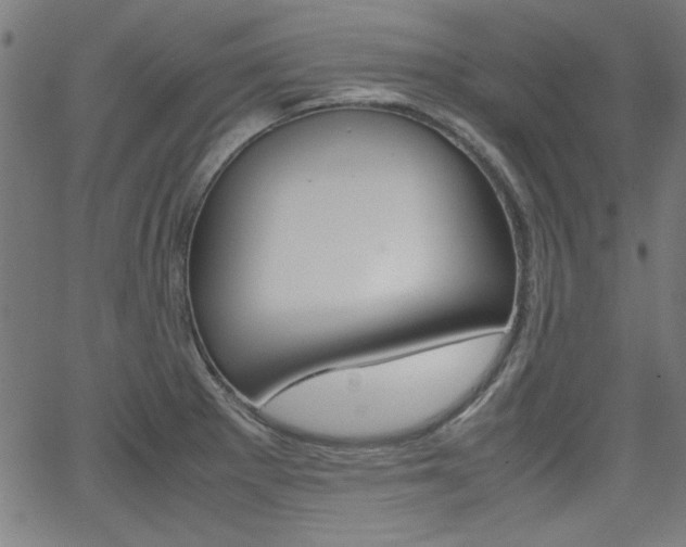 X0000066101281200603100929