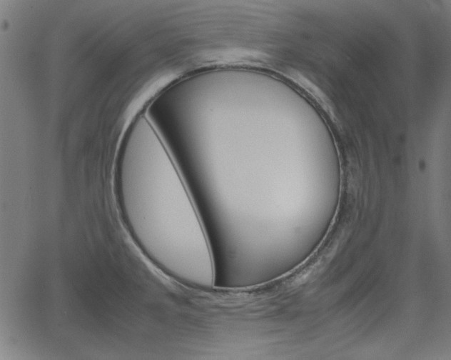 X0000066101285200603100929